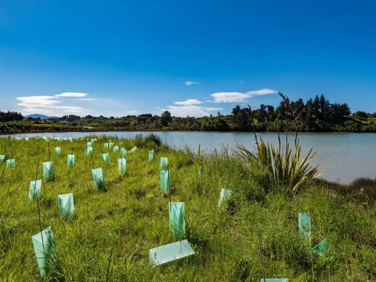 1 Apple Valley Road East Mahana_14