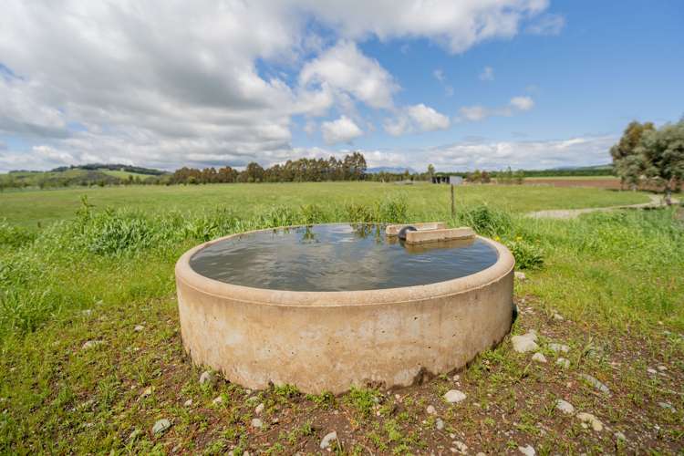 120 Wetlands Road Te Anau_16