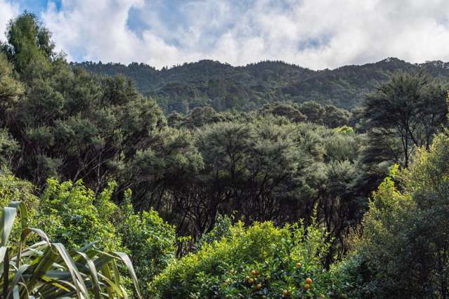 300 King Road Mangawhai_1