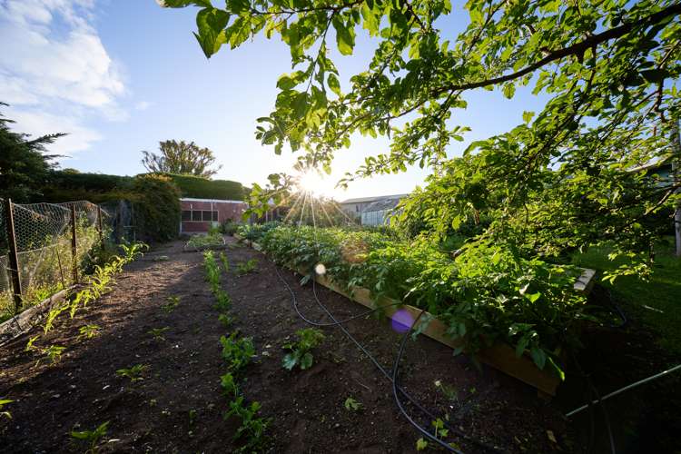 12 Deal Street Kaikoura_77