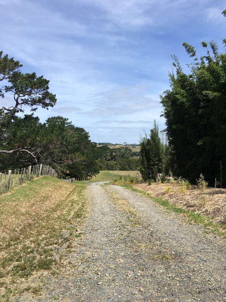 Pebble Brook Road Waitoki_9