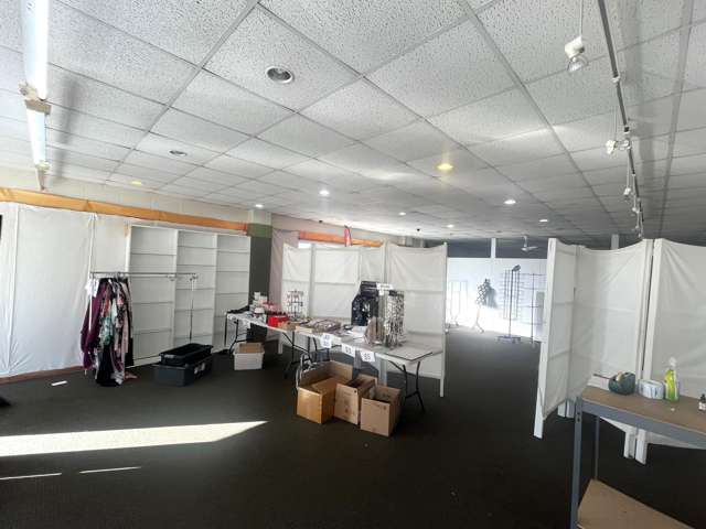 84 Mill Road Otaki_3
