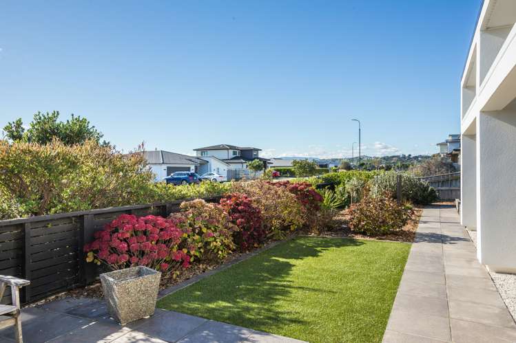 1 Grace Cove Aotea_25