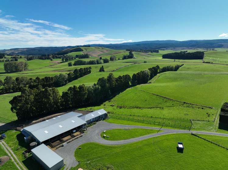 191 Chapman Road Wharetoa_20