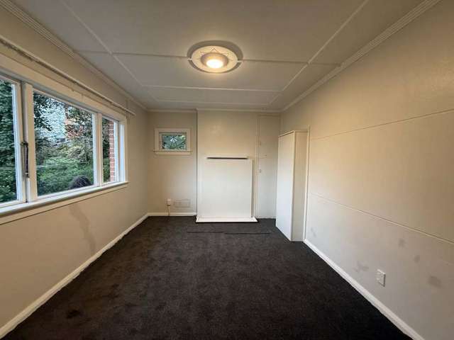 125 Maclaggan Street Dunedin Central_4