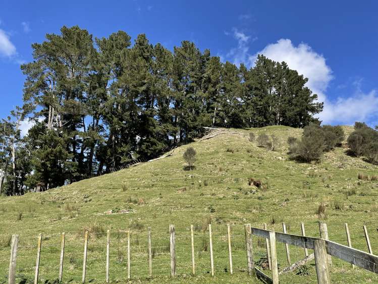 166 Saddler Road Ruapehu_25