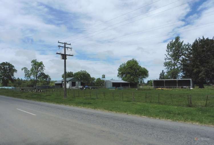 259 Goodwin Road Waitohi_11