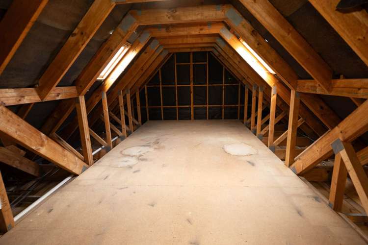 11 San Jose Rise Shamrock Park_33