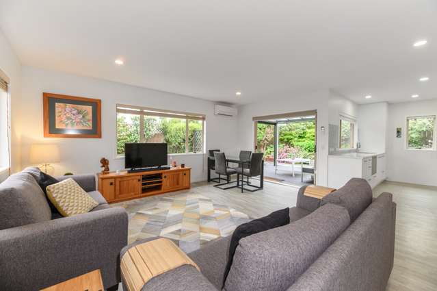 455a Richardson Road Mount Roskill_2