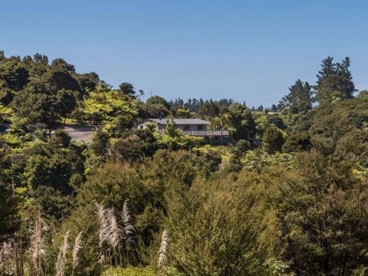 159 Paroa Bay Road Russell_18