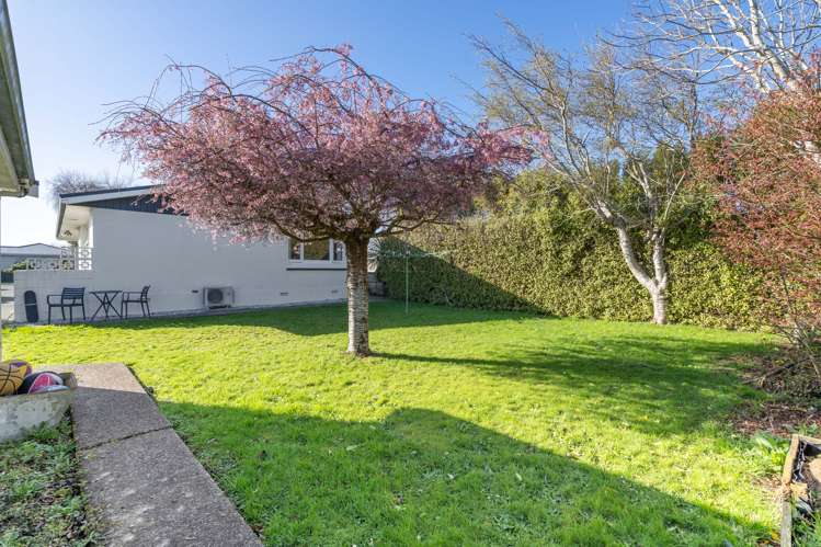 12 Rowan Street Hargest_16