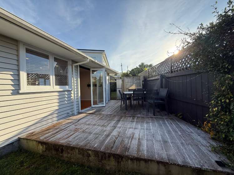 102 Owairaka Avenue Mount Albert_11