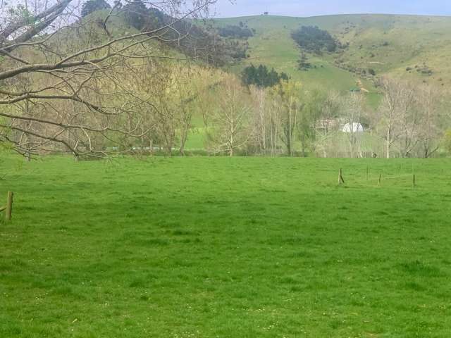 MARATOTO VALLEY GRAZING