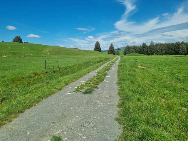 Kahuwera Road Piopio_4