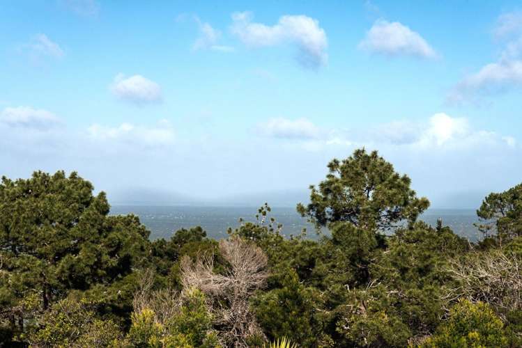 77b Donovan Street Blockhouse Bay_11