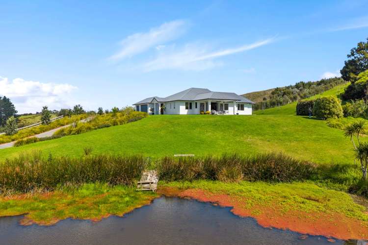 108 Tender Road Dairy Flat_34