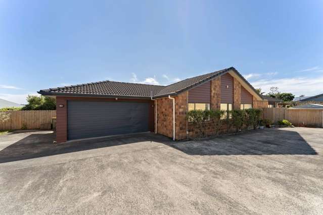 55a Willerton Avenue New Lynn_1