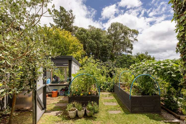 212 Bellevue Road Bellevue_23