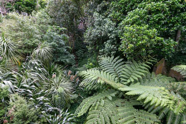 72b Sar Street Wadestown_11