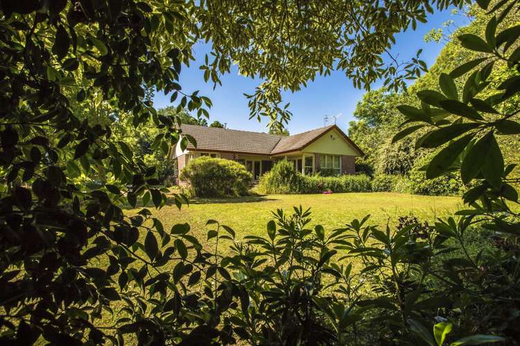 541 Beaconsfield Road Pareora West_11