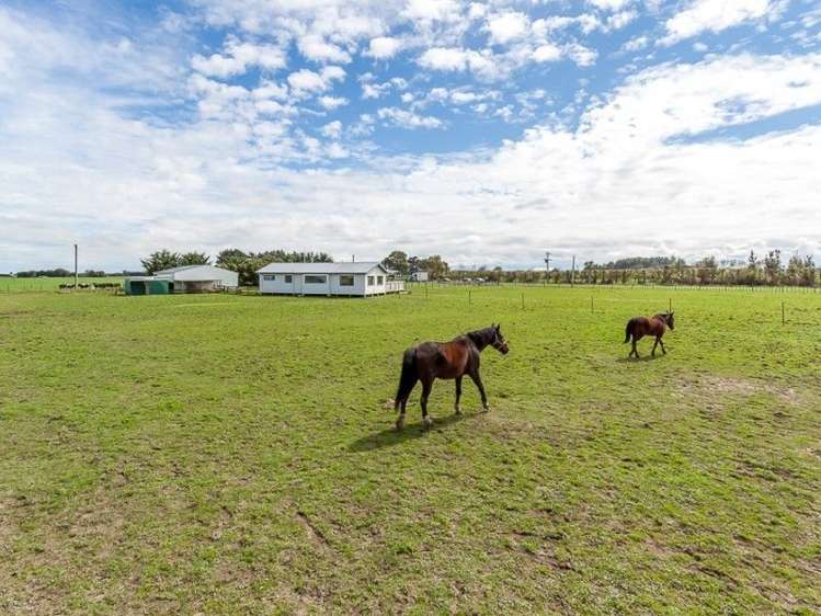 361 Whales Line Marton_21