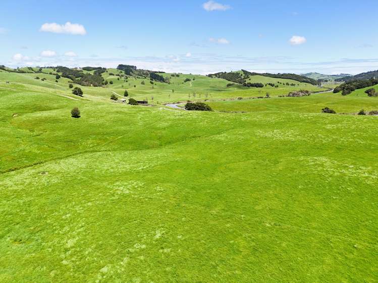 Lot 3 Pukehuia Road Arapohue_16