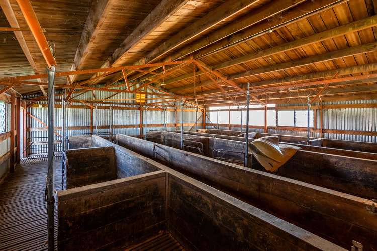 125 Merton Road Fernside_17