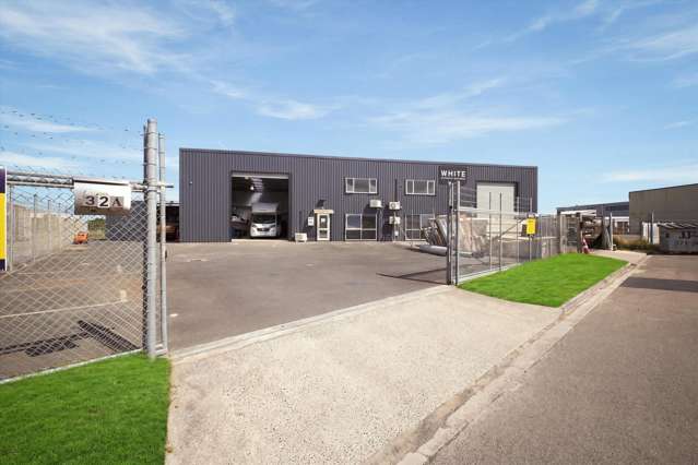 Dual unit investment with options
