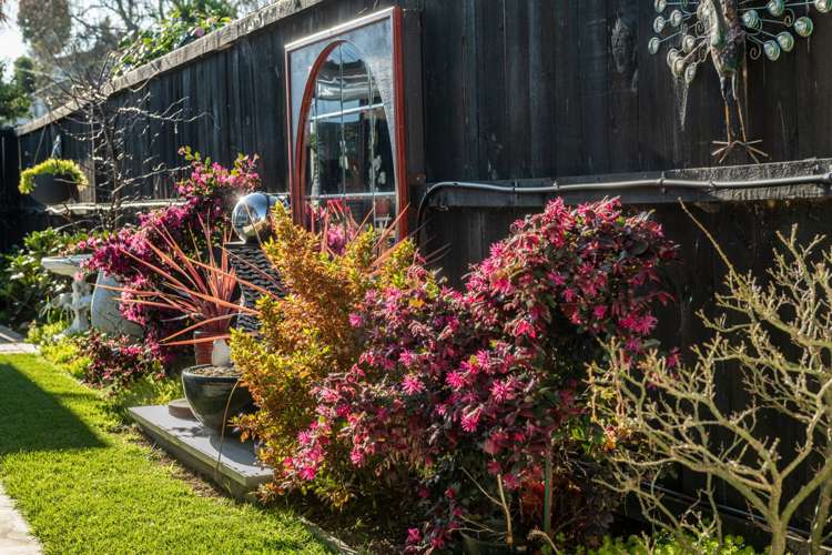 130a Greerton Road Gate Pa_18