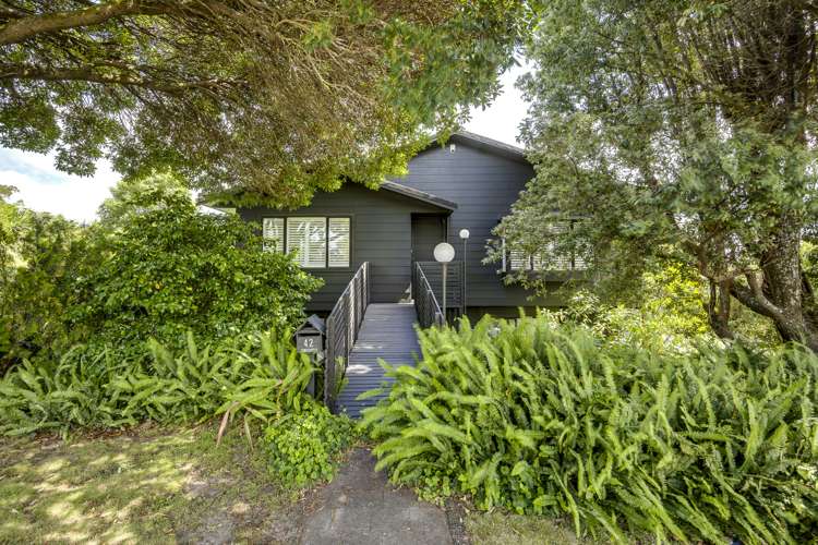 42 Simla Avenue Havelock North_23