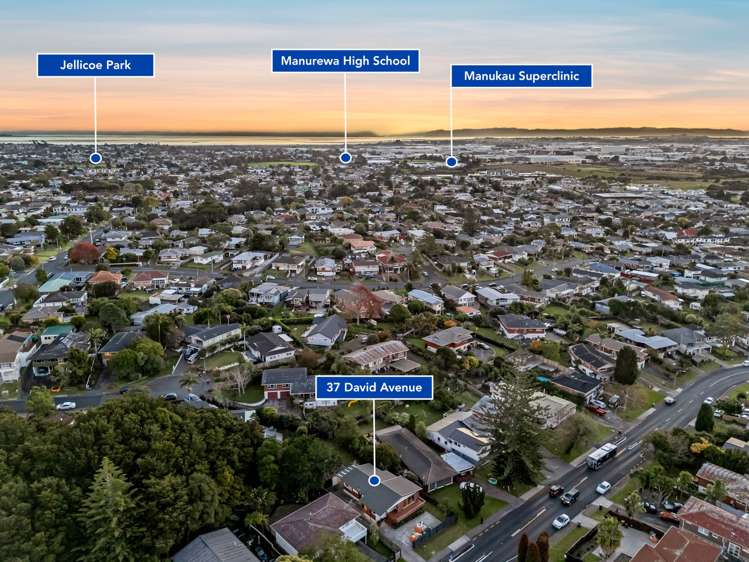 37 David Avenue Hillpark_32