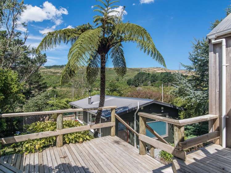 11 Richmond Hill Glenside_8