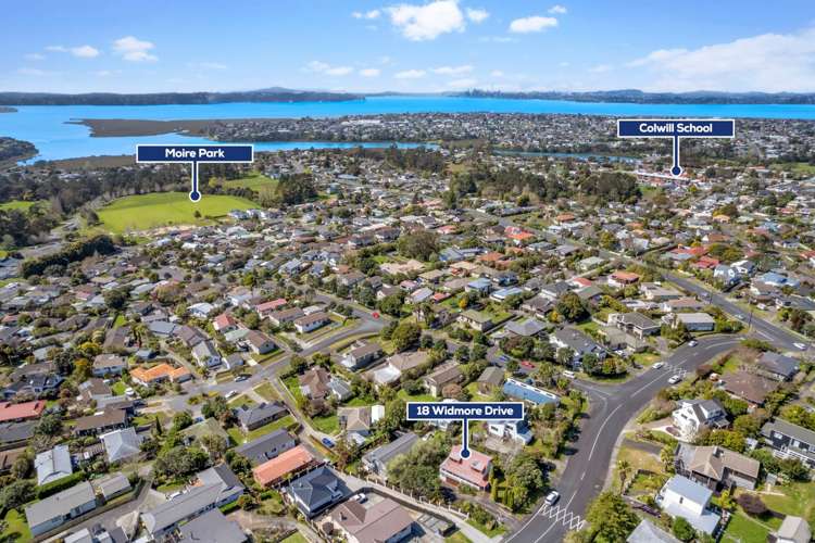 18 Widmore Drive Massey_16