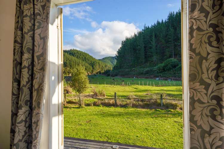 174 Hori Bay Road Whangamoa_8