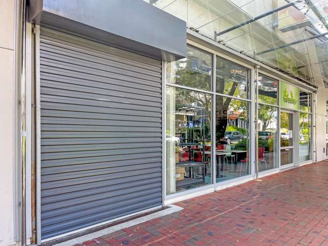 PS350/10 Aylesbury Street Pakuranga_1