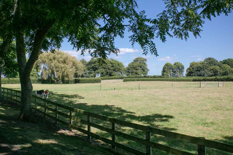 441 Taihoa South Road Matamata_15