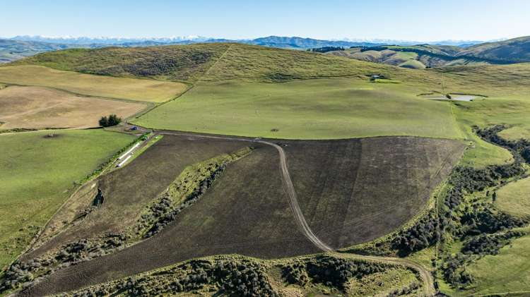 324 Reeces Road Omihi_10