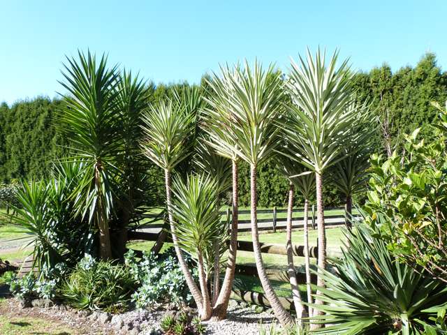 387 Kerikeri Road Kerikeri_1