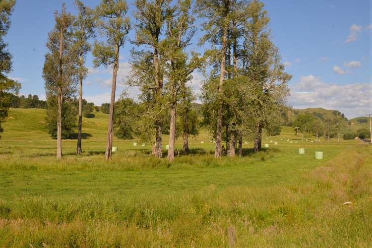 370 State Highway 3 Te Mapara_10