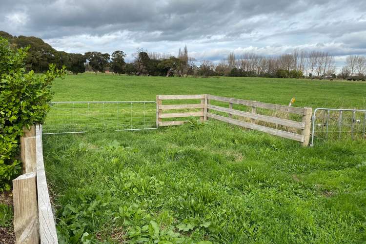 8945 Paeroa Kopu Road Puriri_17