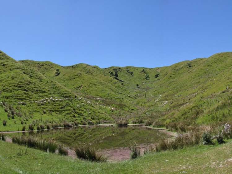 1168 Manui Road Mangaweka_11