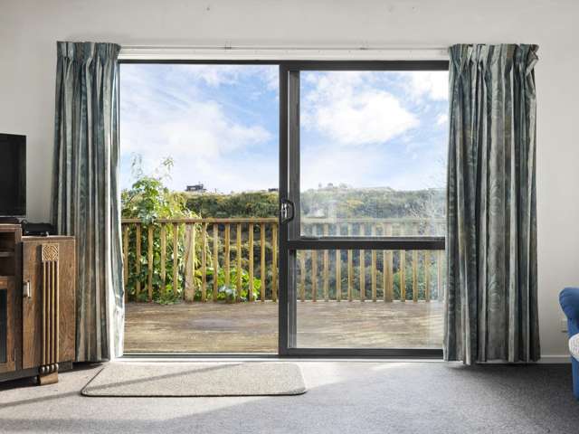 71 Ronaldsay Street Palmerston_3