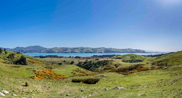 452 Harington Point Rd Lower Portobello_2