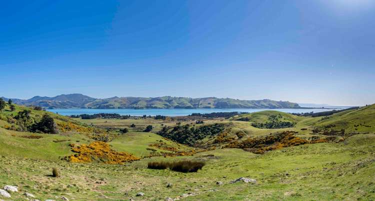 452 Harington Point Rd Lower Portobello_2