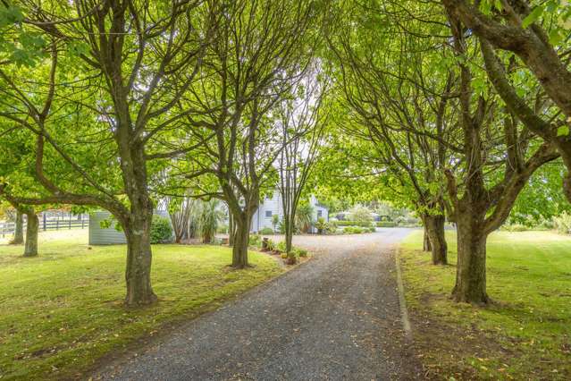 35 Taplin Road Matangi_1