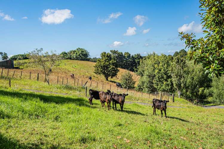 21 Going Road Matarau_27