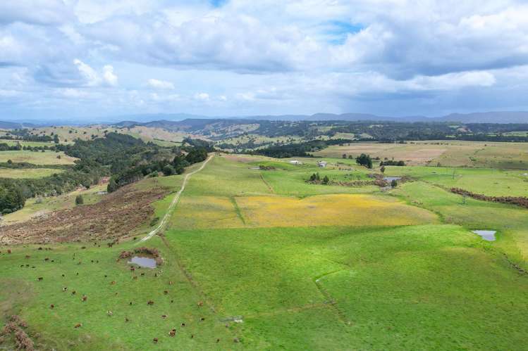 194 Toia Road Okaihau_11