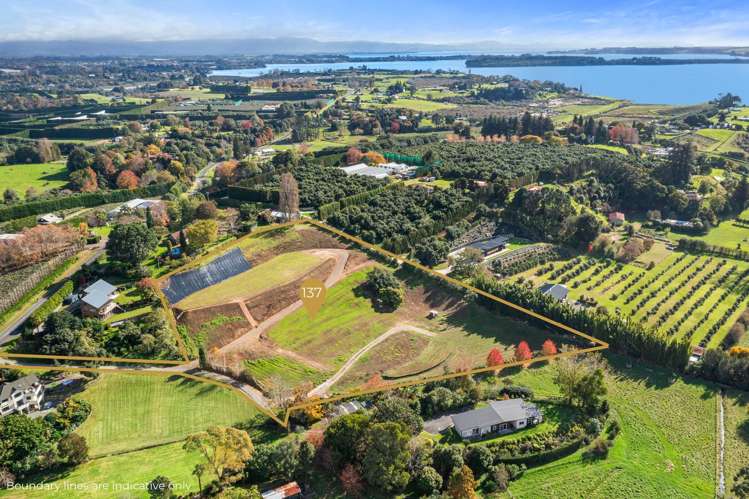 137 Lochhead Road Te Puna_13