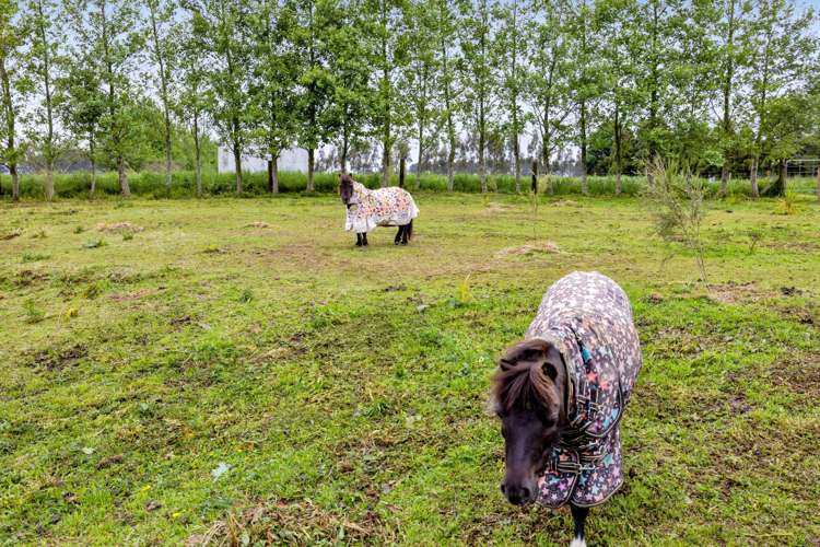 306 Upper Stuart Road Eltham_24