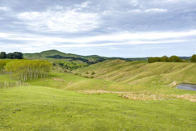 139 Clareinch Road Omakere_27